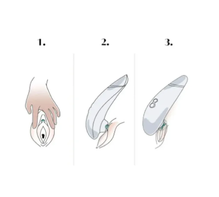Womanizer Female Sex Toys Womanizer Premium 2 Clitoral Air Stimulator